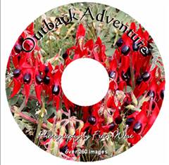Outback Adventure (DVD)