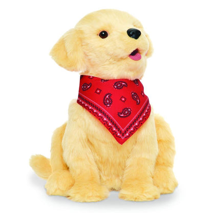 Companion Pet - Dog - Each