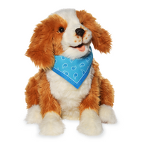 Companion Pet - Dog - Each
