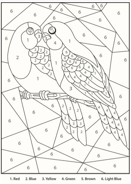 Watercolour Paint By Numbers Kit - A3