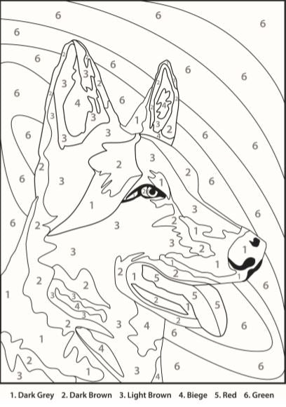 Watercolour Paint By Numbers Kit - A3